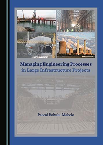 Amazon.com: Industrial Megaprojects: Concepts, Strategies, and